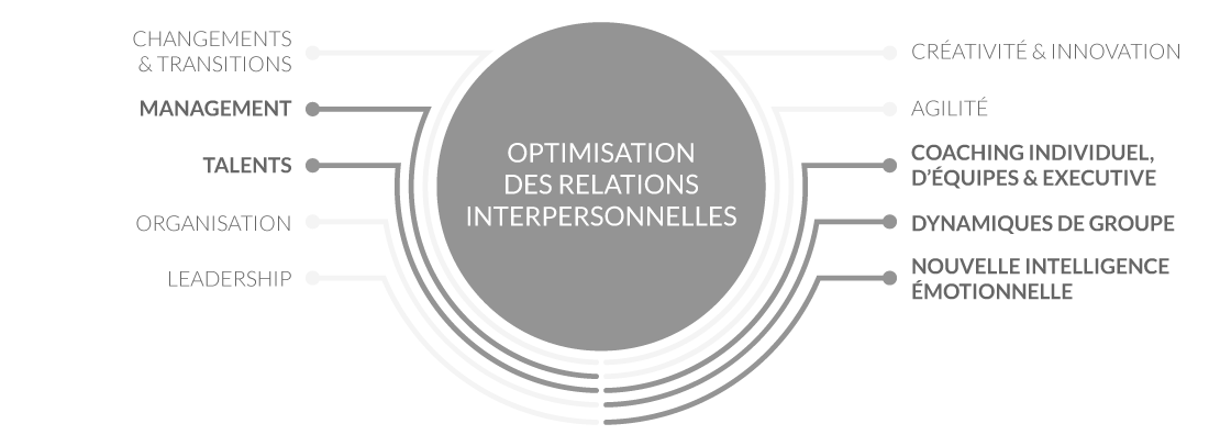 Optimisation Des Relations Interpersonnelles Institute Of